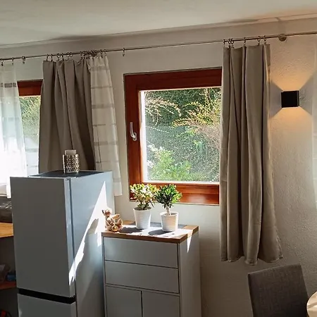 Einzimmerwohnung Mit Doppelbett