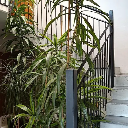 Einzimmerwohnung Mit Doppelbett Appartement *