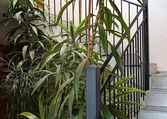 Einzimmerwohnung Mit Doppelbett Apartment *